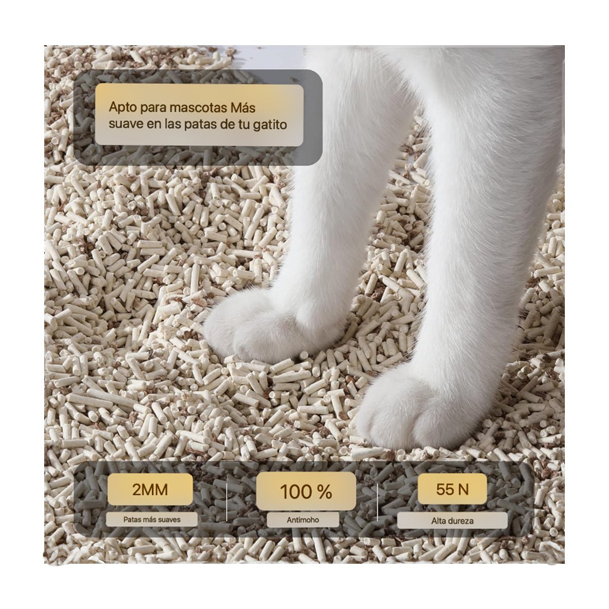 Gato usando arena ecológica de tofu sin polvo - Sweet Home