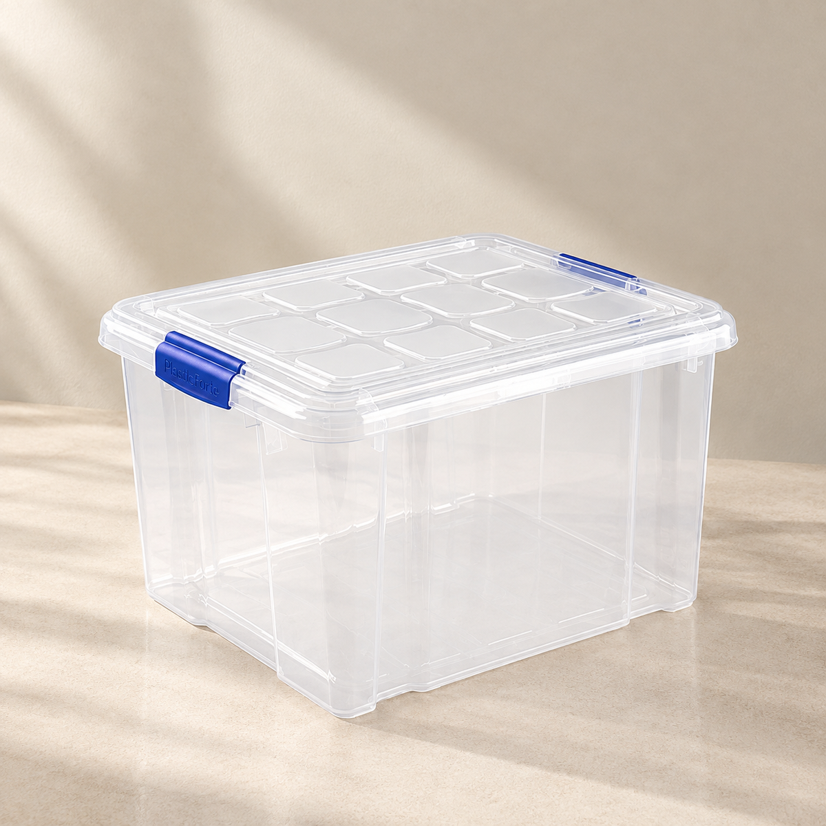 Caja de Almacenamiento 25L Plastic Forte | Transparente con Tapa