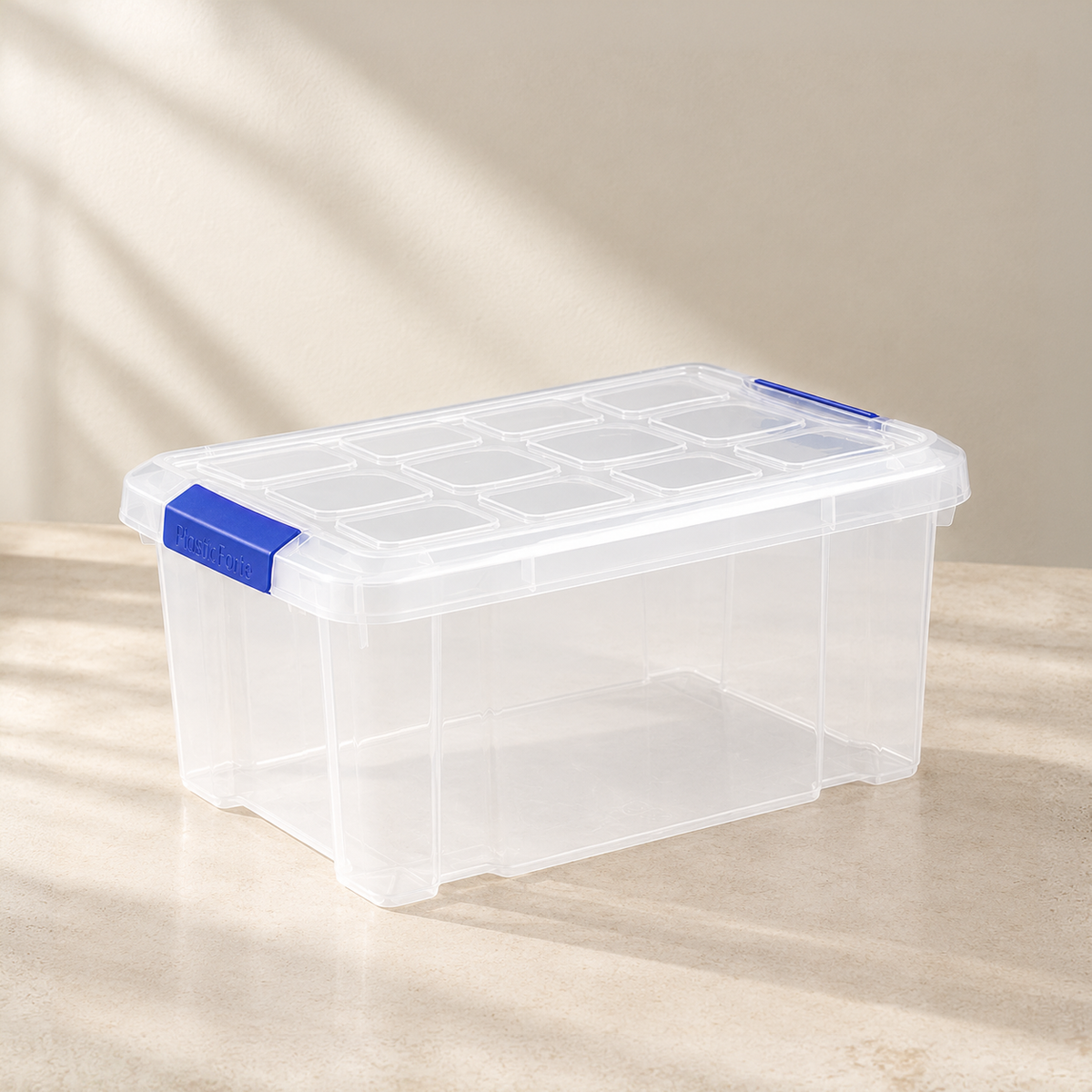 Caja de Almacenaje 5 Litros con Tapa | Plástico Transparente