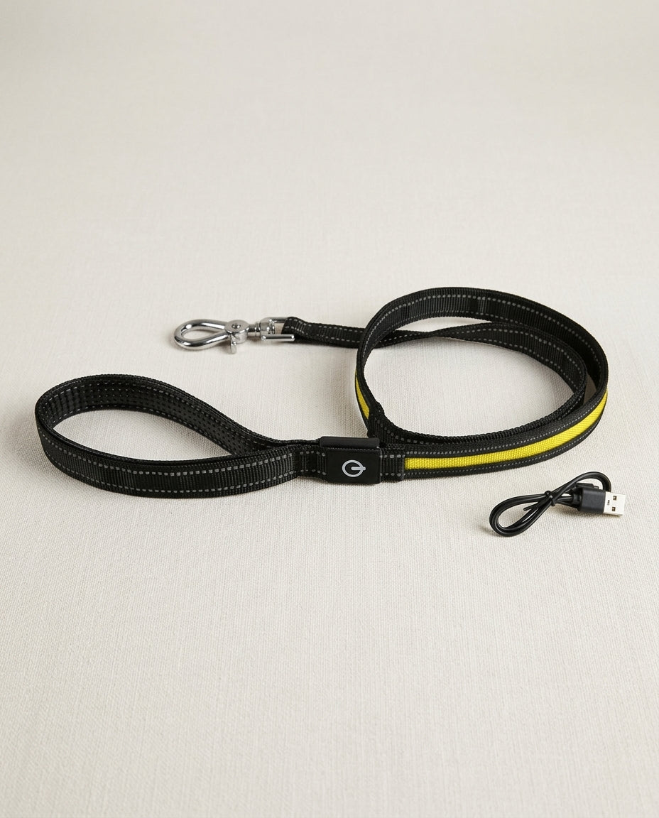Correa LED para Perro Luz Amarilla 120 cm – Recargable USB, Alta Visibilidad Nocturna Correas estándar correa de seguridad - Sweet Home