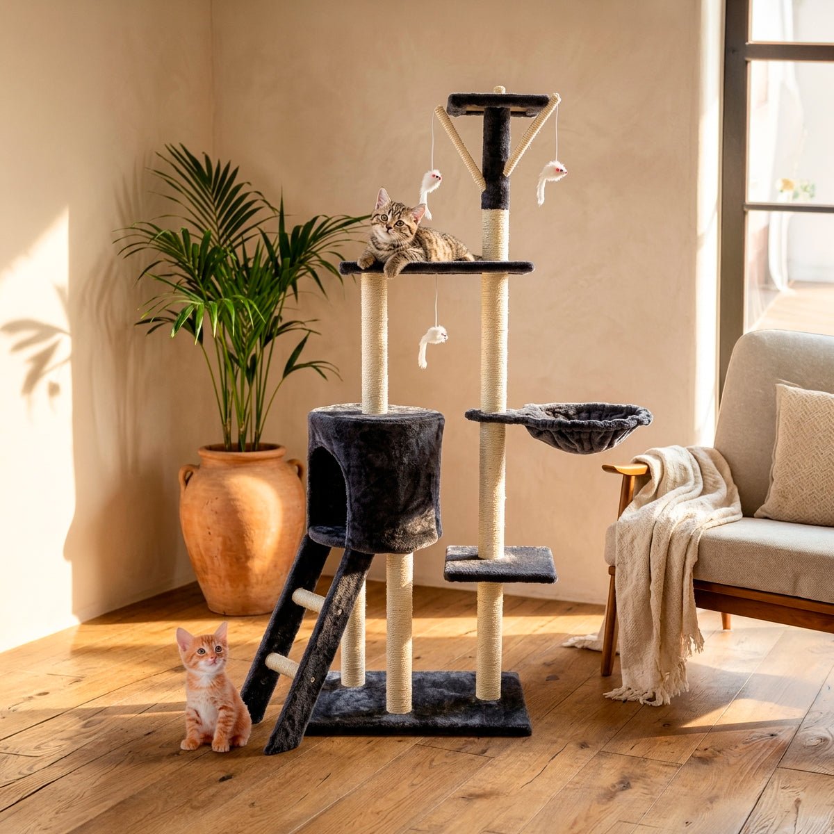 Rascador de Gatos Tipo Casa | Árbol para Gatos Árboles y torres para gatos Gatos - Sweet Home