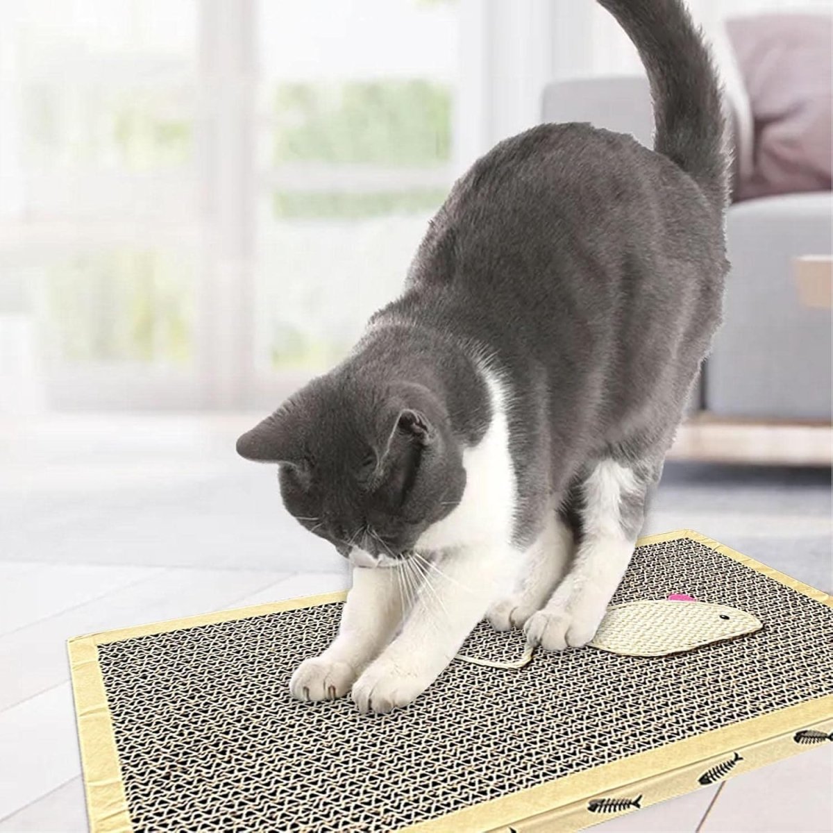 Rascador Gatos con Atrayente - Sweet Home