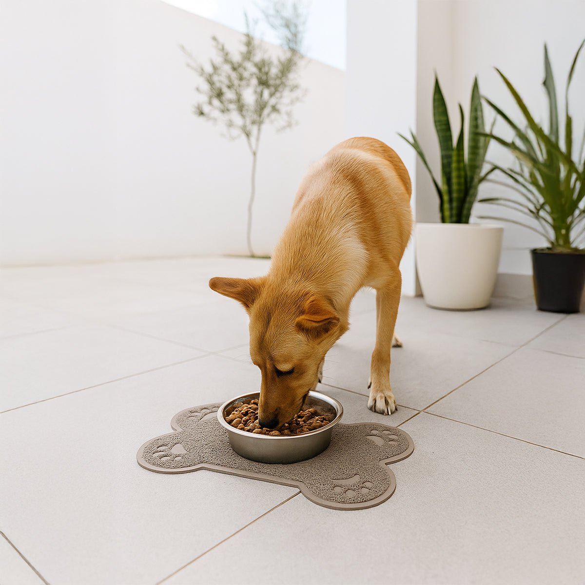 Tapete Antideslizante para Comedero de Mascotas - Sweet Home