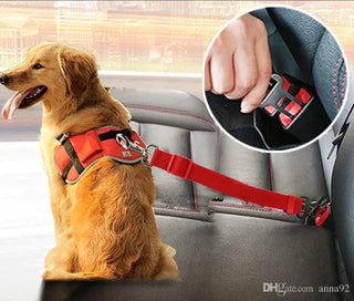 Cinturón Seguridad Ajustable Coche Para Perros Negro - Sweet Home