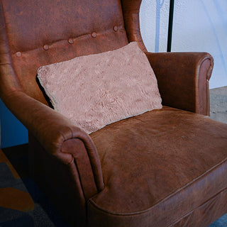 Cojín de Terciopelo 30x50 cm - Sweet Home