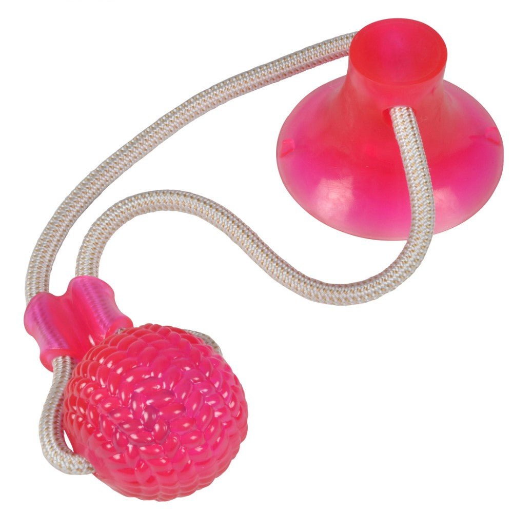 Pelota Cuerda con Ventosa para Perro 46cm - Sweet Home