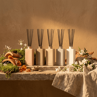 Ambientador Mikado Terracotta 100ml | Aroma Premium y Natural - Sweet Home