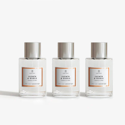 Ambientador Spray Premium Larga Duración (100ml) | Fragancias Elegantes - Sweet Home