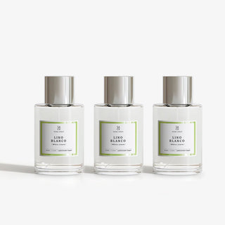 Ambientador Spray Premium Larga Duración (100ml) | Fragancias Elegantes - Sweet Home