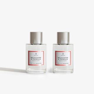 Ambientador Spray Premium Larga Duración (100ml) | Fragancias Elegantes - Sweet Home