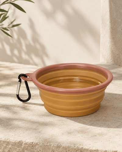 Bebedero y Comedero de Viaje Plegable para Mascotas Cuencos Accesorio para gatos - Sweet Home