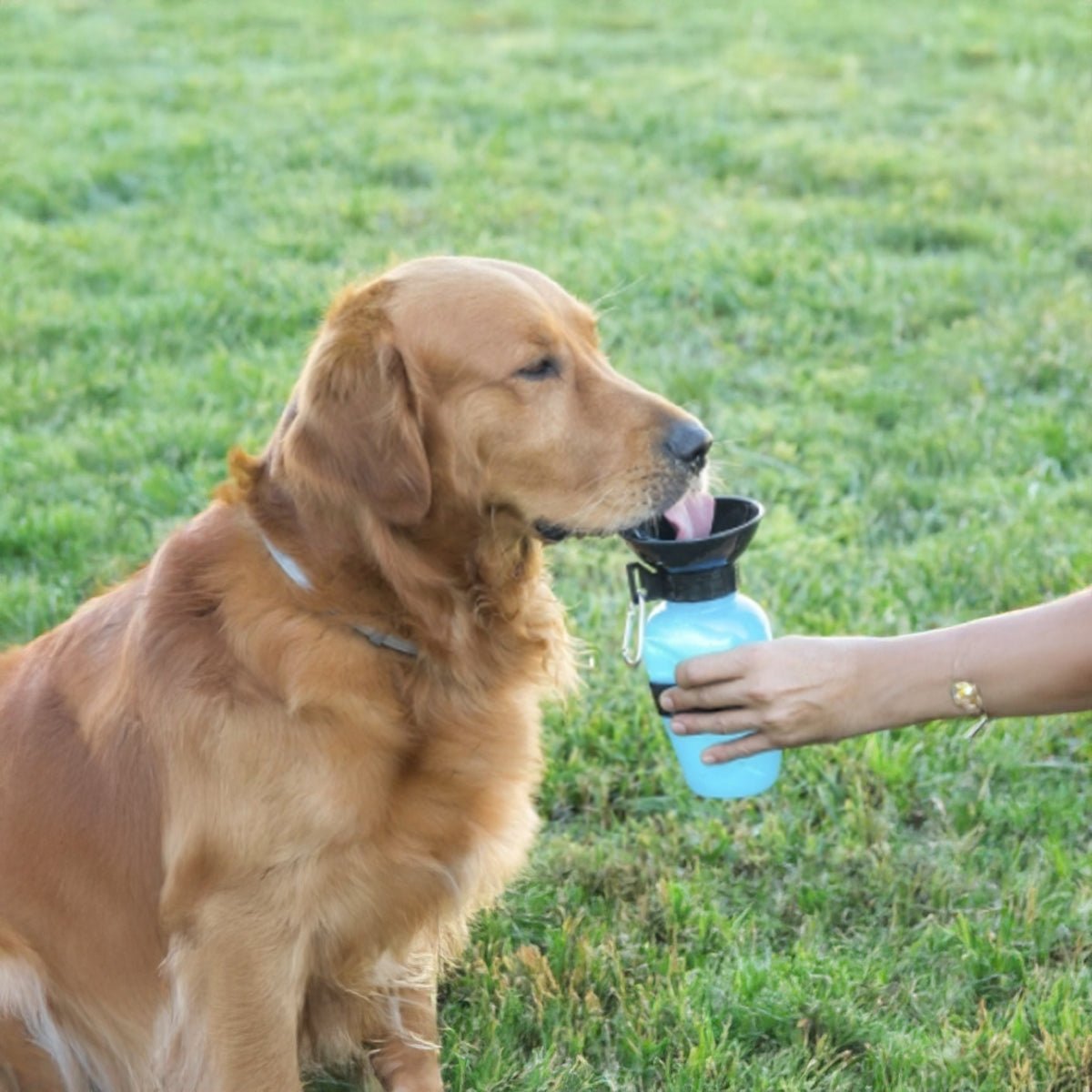 Botella de Agua Portátil Para Mascotas - Sweet Home