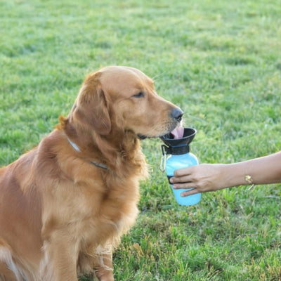 Botella de Agua Portátil Para Mascotas - Sweet Home