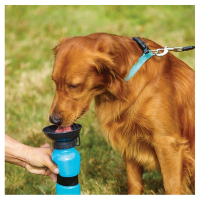 Botella de Agua Portátil Para Mascotas - Sweet Home