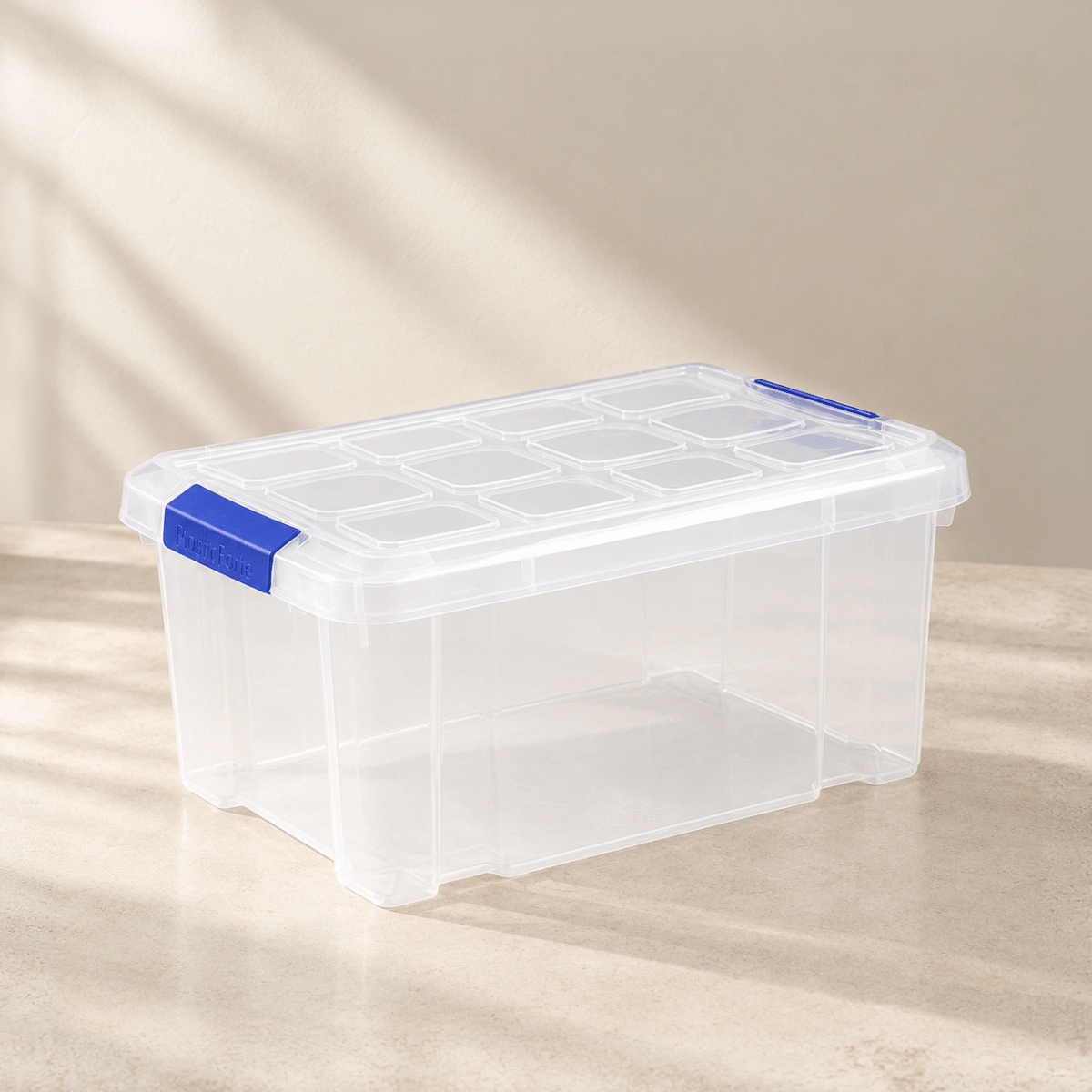 Caja de Almacenaje 5 Litros con Tapa | Plástico Transparente Cajas de plástico almacenaje Caja con Tapa - Sweet Home