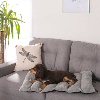 Cama de Viaje para Perros - Ligera, Plegable y Cómoda - Sweet Home
