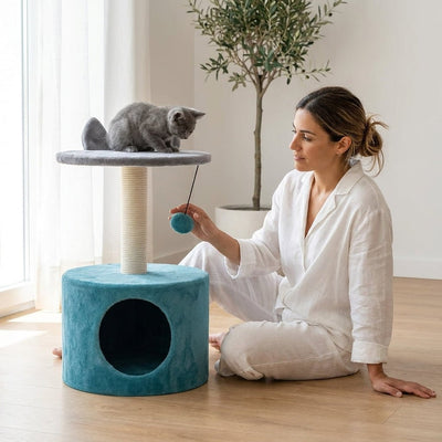 Casa Rascador para Gato | Árbol Rascador con Casita Productos para mascotas Gatos - Sweet Home