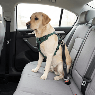 Cinturón de Seguridad Coche para Perros | Ajustable y Seguro - Sweet Home