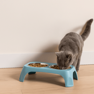 Comedero Elevado Doble para Perros y Gatos - Sweet Home