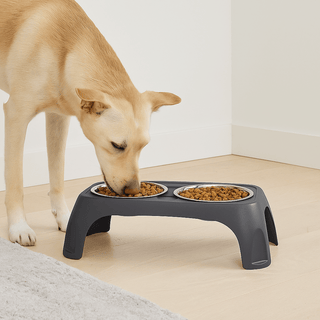Comedero Elevado Doble para Perros y Gatos - Sweet Home