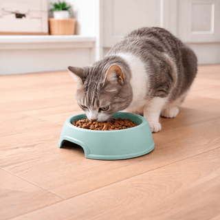 Comedero Redondo Antideslizante para Perros y Gatos | Sweet Home - Sweet Home