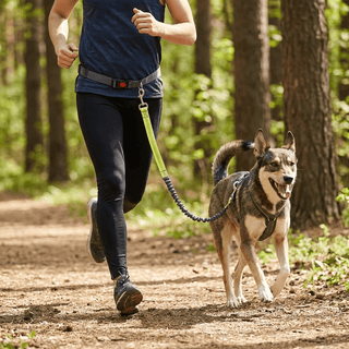 Correa Elástica Para Correr Con Manos Libres - Sweet Home