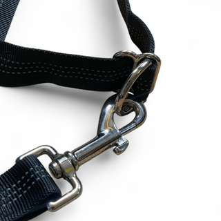 Correa Ergonómica para Perro con Bolsa de Paseo Integrada - Sweet Home