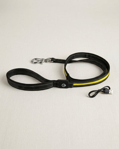 Correa LED para Perro Luz Amarilla 120 cm – Recargable USB, Alta Visibilidad Nocturna Correas estándar correa de seguridad - Sweet Home