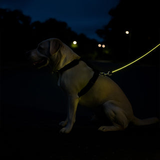 Correa LED para Perro Luz Amarilla 120 cm – Recargable USB, Alta Visibilidad Nocturna - Sweet Home