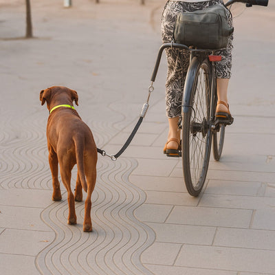 Enganche de Bicicleta para Perro – Kit metálico con correa ajustable 150 cm - Sweet Home