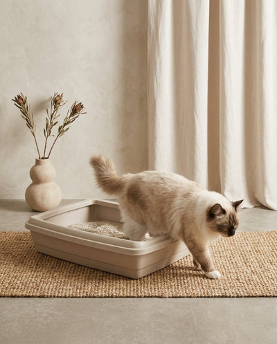 Gatera de Plástico con Pala para Gatos Areneros Accesorios Gatos - Sweet Home