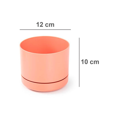 Mini Maceta Con Plato 12 Cm Pack 3 Unidades Colores Pasteles - Sweet Home