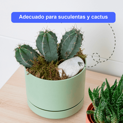 Mini Maceta Con Plato 12 Cm Pack 3 Unidades Colores Pasteles - Sweet Home