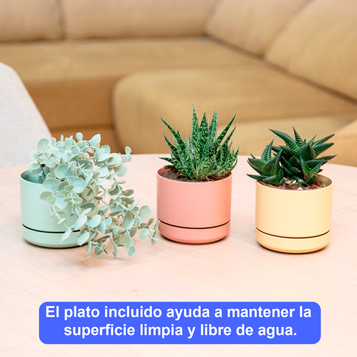 Mini Maceta Con Plato 12 Cm Pack 3 Unidades Colores Pasteles - Sweet Home