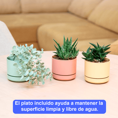 Mini Maceta Con Plato 12 Cm Pack 3 Unidades Colores Pasteles - Sweet Home