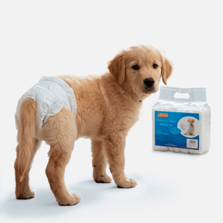 Pañales para Mascotas - Pack 10 | Pañales desechables para perros · Sweet Home - Sweet Home