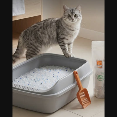 Arena para Gatos de Cristal 3.8L con Fragancia