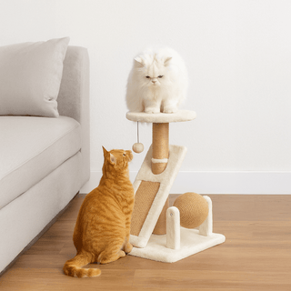 Rascador Árbol para Gatos - Sweet Home