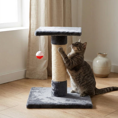 Rascador cuadrado para gato | Comodidad y estilo Productos para mascotas Gatos - Sweet Home