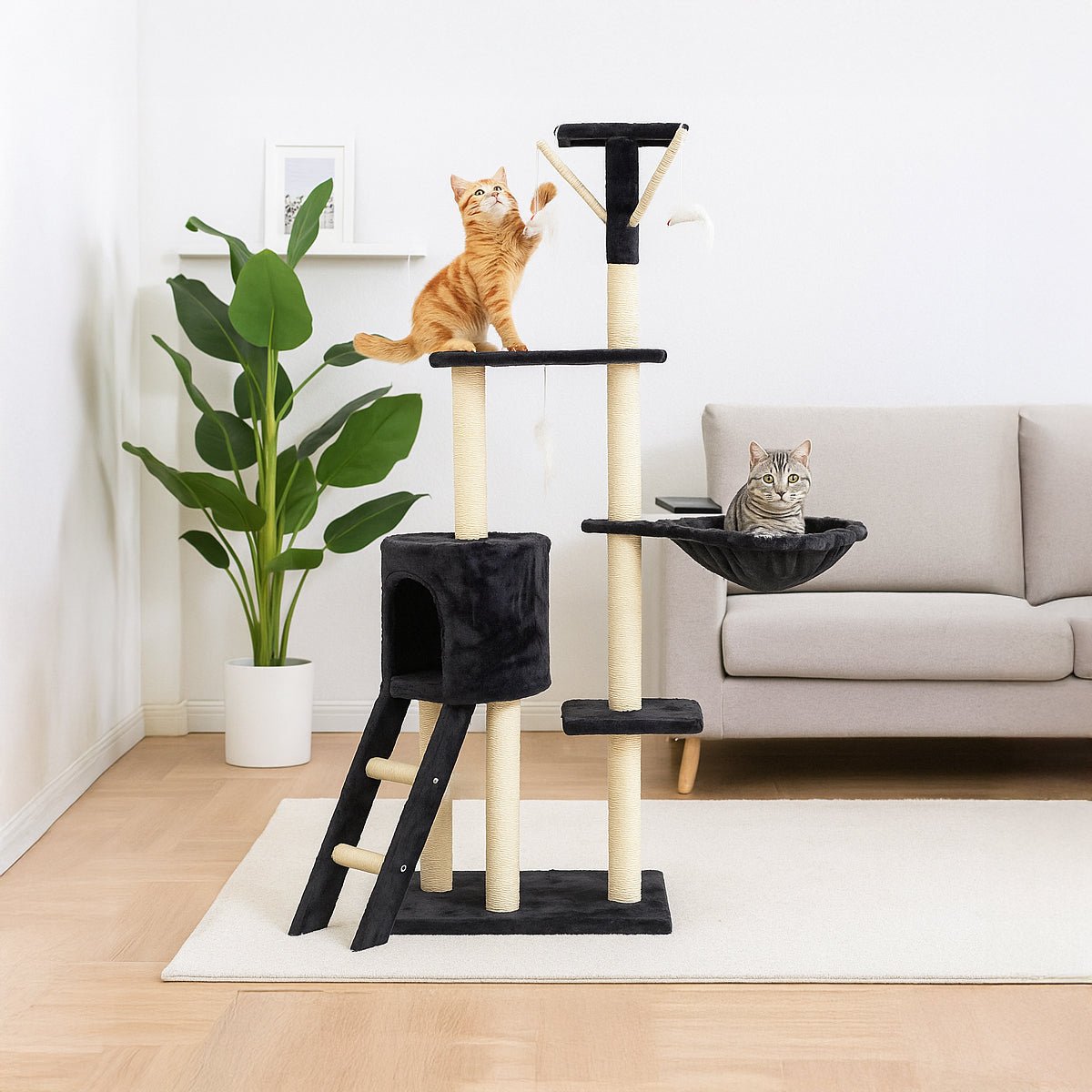 Rascador de Gatos Tipo Casa | Árbol para Gatos - Sweet Home