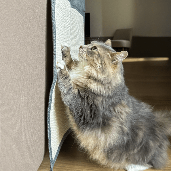 Rascador de Sisal Protector de Sofá para Gatos - Sweet Home