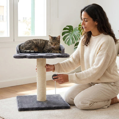 Rascador para Gatos con Juguete | Árbol Interactivo para Jugar y Rascar