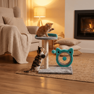 Rascador y Juguete para Gato Azul - Sweet Home