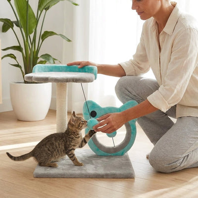 Rascador y Juguete para Gato Azul Productos para mascotas Gatos - Sweet Home