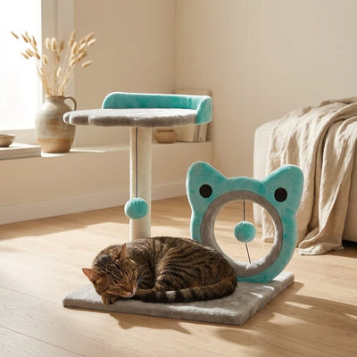 Rascador y Juguete para Gato Azul Productos para mascotas Gatos - Sweet Home