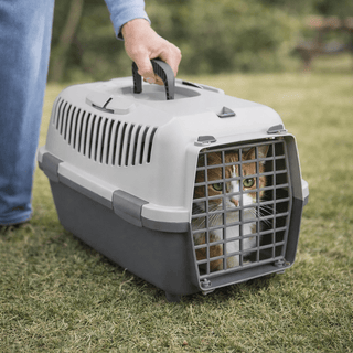 Transportín Rígido para Gatos y Perros Pequeños (Hasta 6kg) - Sweet Home