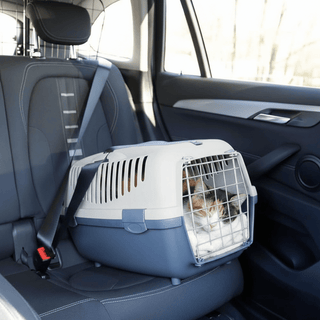 Transportín Rígido para Gatos y Perros Pequeños (Hasta 6kg) - Sweet Home