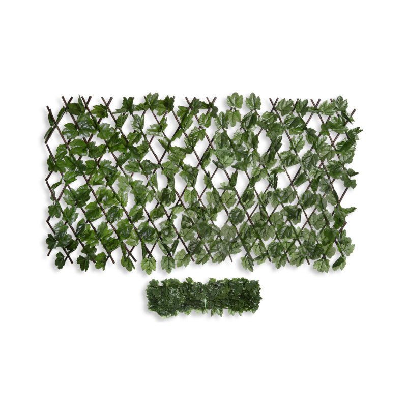 ⇒ Celosia extensible novagarden mimbre 1x1,5m lila ▷ Precio. ▷ Comprar con  los Mejores Precios. Ofertas online