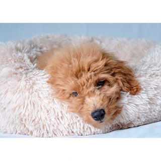 Cojín cama redondo Fluffy para mascotas - Sweet Home
