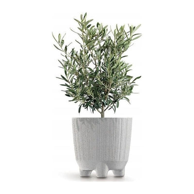 Macetero Eco Wood de 4L - Sweet Home